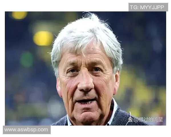 球星传足球:从个人传奇到团队荣耀的历程与影响 球星传足球:从个人传奇到团队荣耀的历程与影响